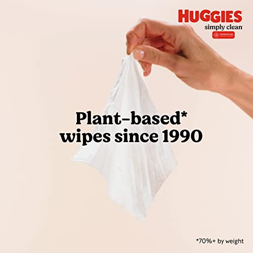 Huggies Simply Clean Fragrance-Free Baby Wipes, 64 Count (Pack of 11) (704 Wipes Total) HUGGIES
