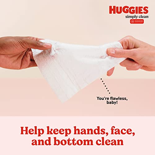 Huggies Simply Clean Fragrance-Free Baby Wipes, 64 Count (Pack of 11) (704 Wipes Total) HUGGIES