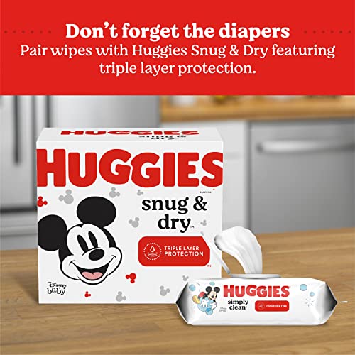 Huggies Simply Clean Fragrance-Free Baby Wipes, 64 Count (Pack of 11) (704 Wipes Total) HUGGIES