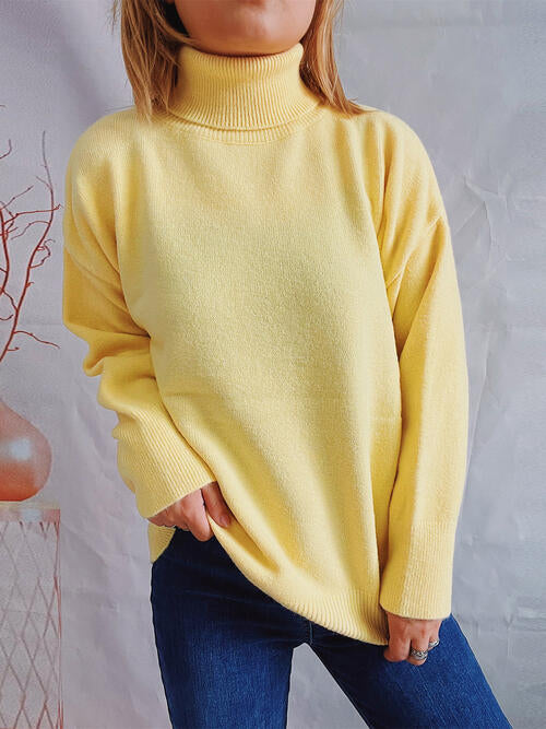 Turtleneck Long Sleeve Sweater Trendsi